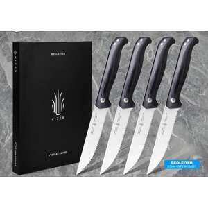 Kizer Begleiter BE0505G1 Steakové nože 4 ks